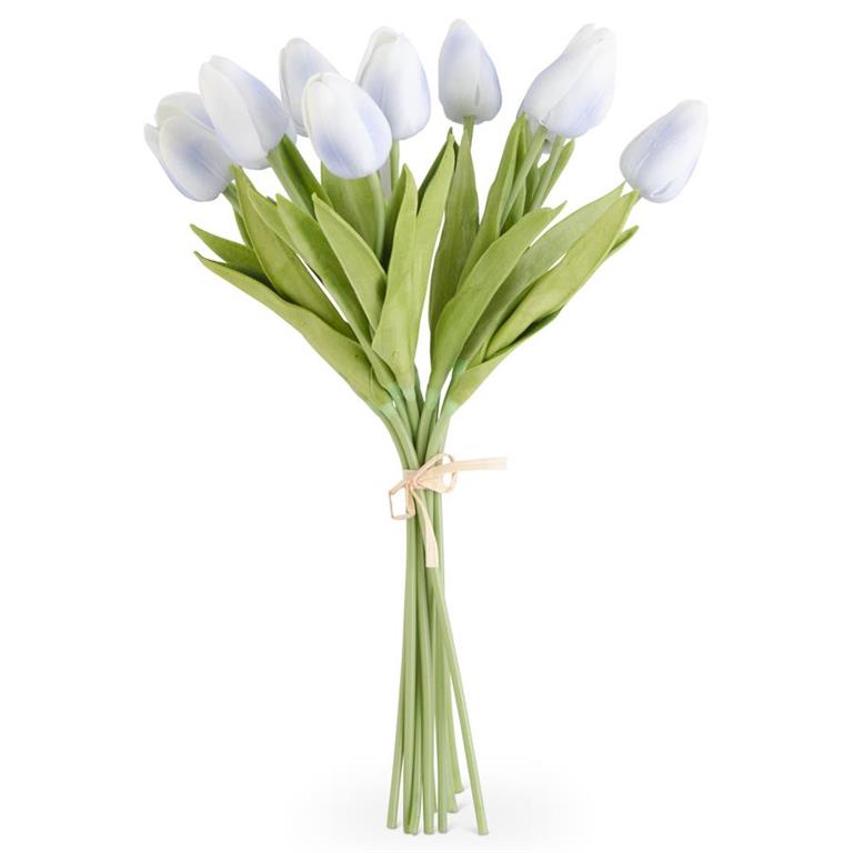 Tulip Bundle
