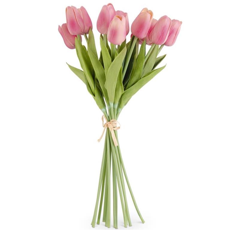 Tulip Bundle