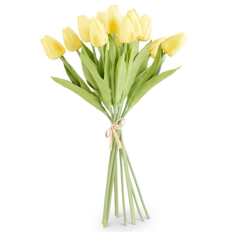 Tulip Bundle