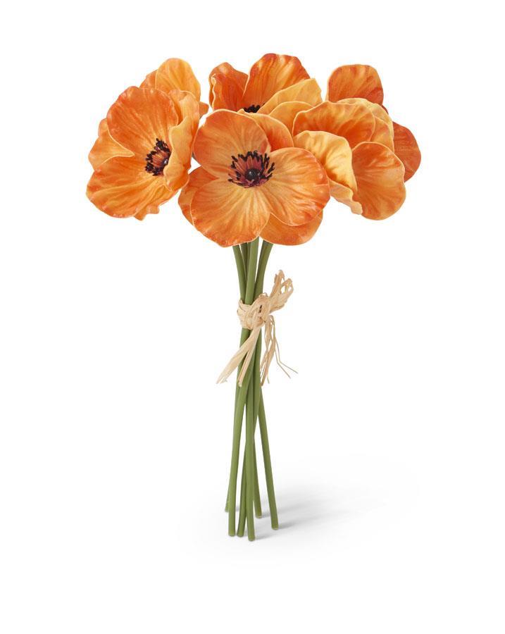 Orange Poppy Bundle