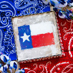 Mini Texas Flag Print