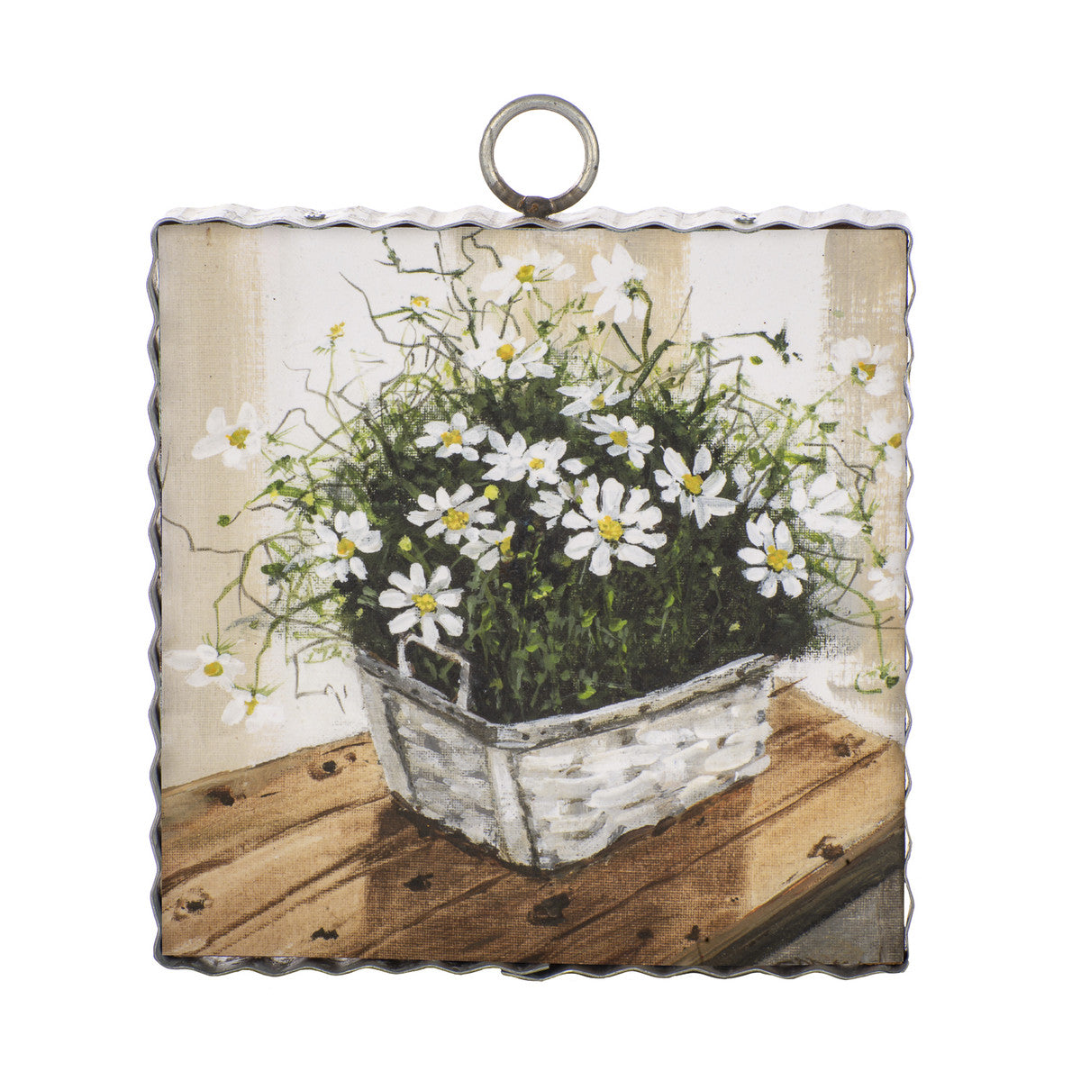Cosmos Daisies