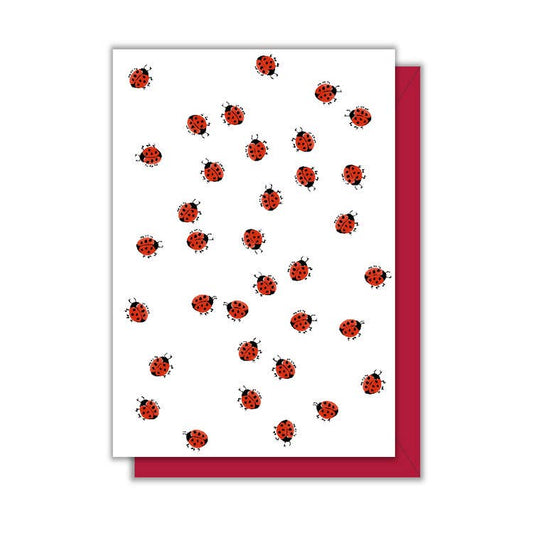 Driscoll Design - Ladybugs Enclosure Card