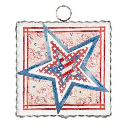 Mini Patriotic Star Ina Star Print
