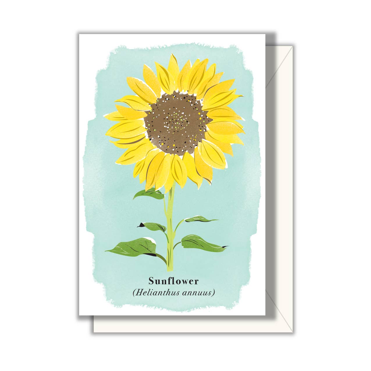 Driscoll Design - Sunflower Enclosure Card